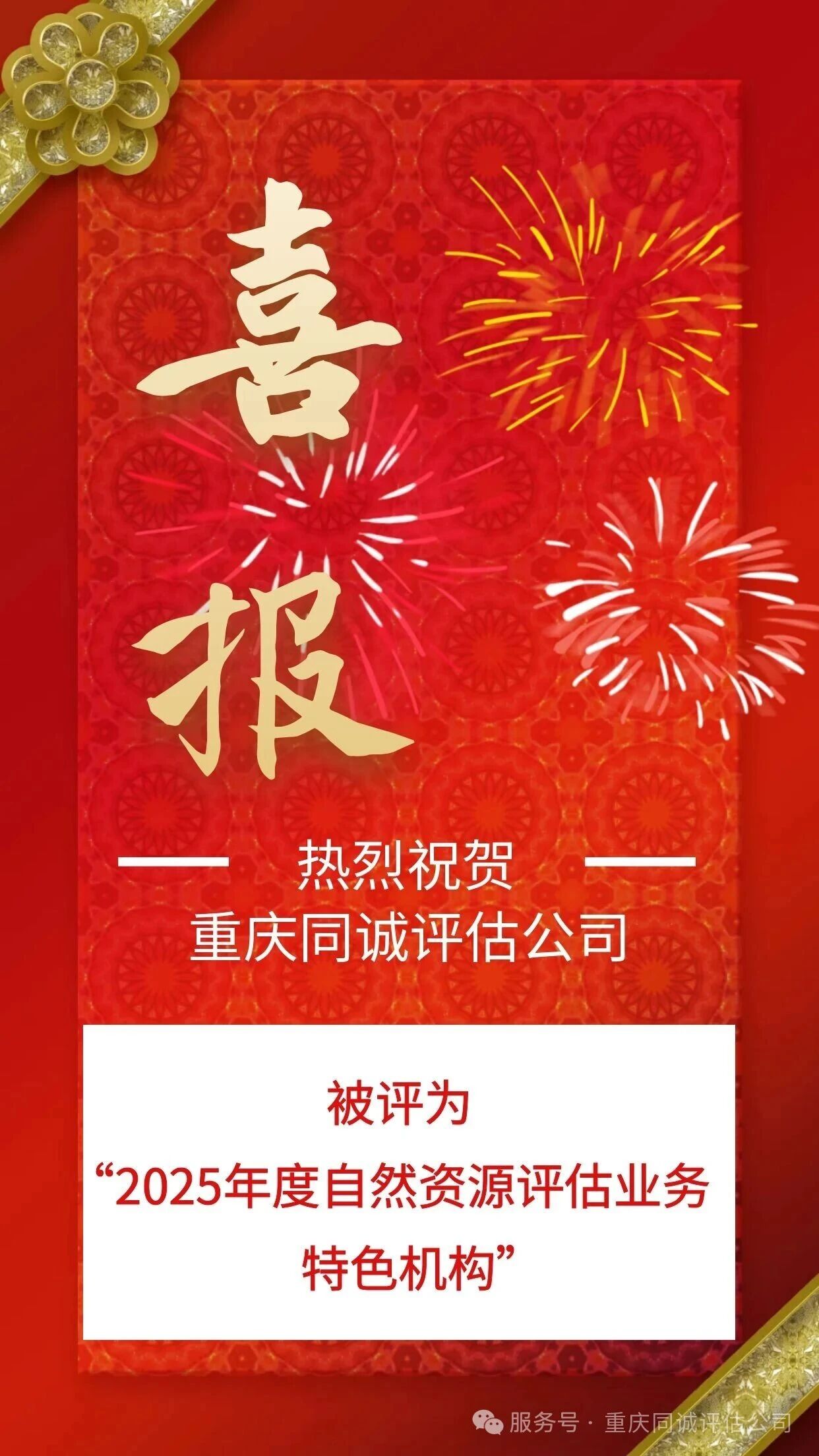 【喜报】热烈祝贺公司被评为“2025年度自然资源评估业务特色机构”